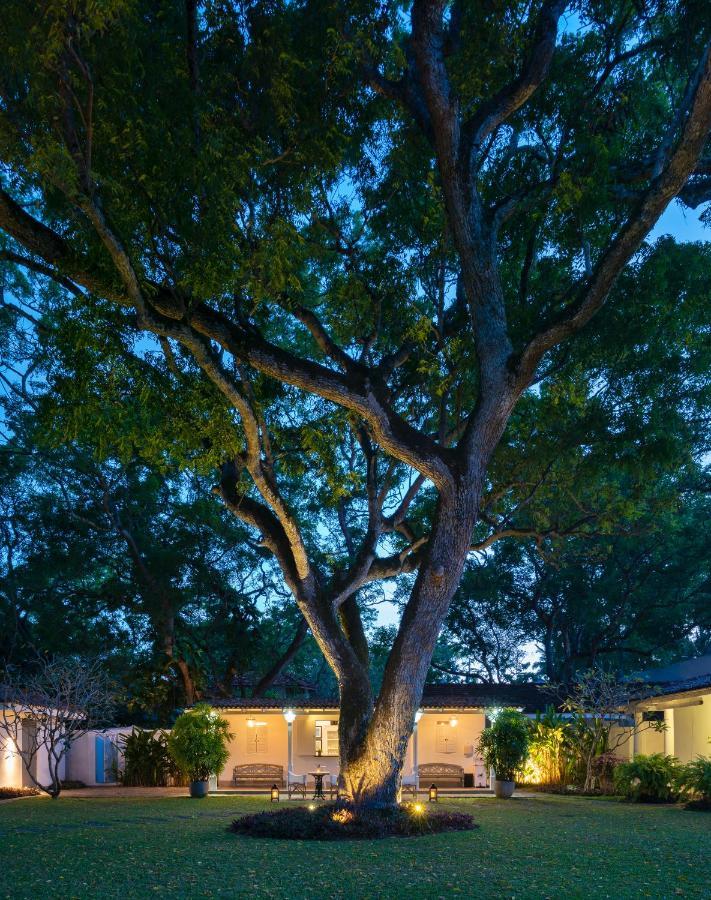 Taru Villas Mawella - タンガラ エクステリア 写真
